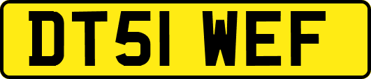 DT51WEF
