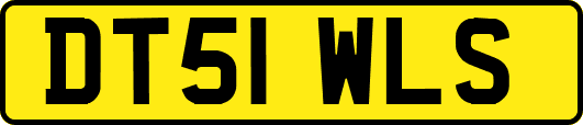 DT51WLS