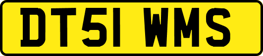 DT51WMS