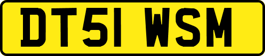 DT51WSM