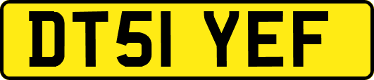 DT51YEF