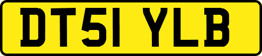 DT51YLB