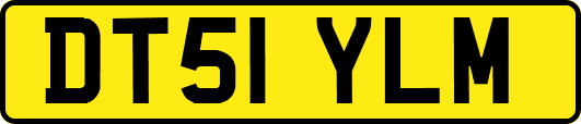 DT51YLM
