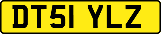 DT51YLZ