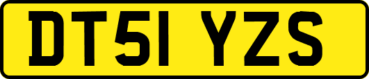 DT51YZS