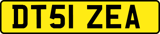 DT51ZEA