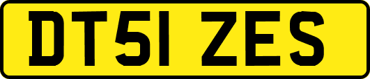 DT51ZES