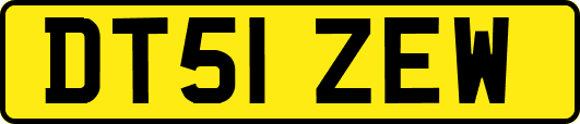 DT51ZEW
