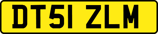 DT51ZLM