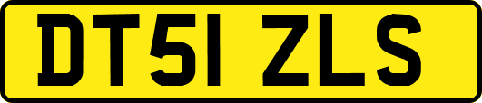 DT51ZLS