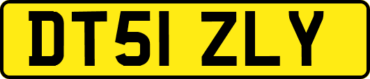 DT51ZLY