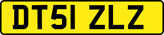 DT51ZLZ