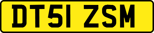 DT51ZSM