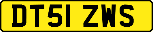 DT51ZWS