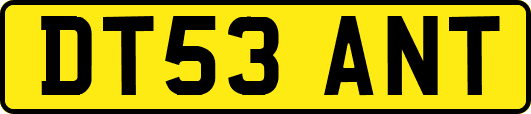 DT53ANT