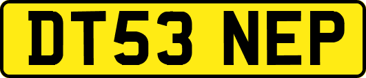 DT53NEP