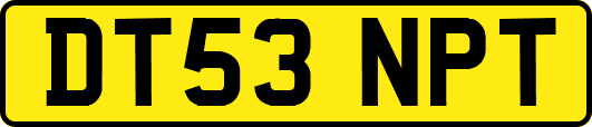 DT53NPT