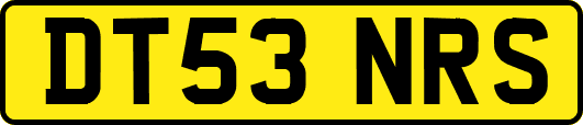 DT53NRS
