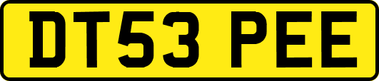 DT53PEE