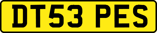 DT53PES