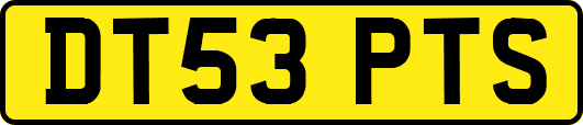 DT53PTS