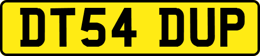 DT54DUP