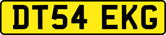 DT54EKG