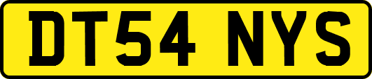 DT54NYS