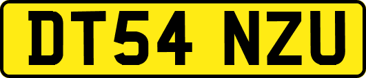 DT54NZU