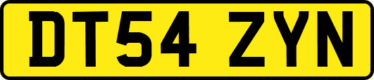 DT54ZYN