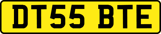 DT55BTE