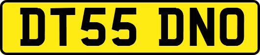 DT55DNO