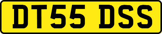 DT55DSS