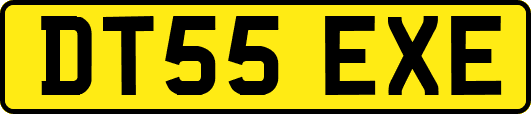 DT55EXE