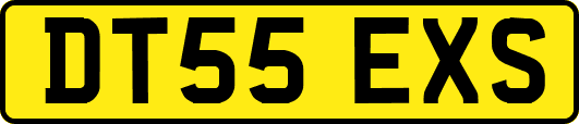 DT55EXS