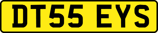 DT55EYS