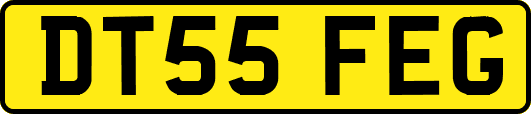 DT55FEG