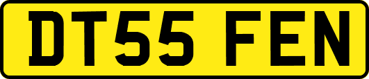 DT55FEN