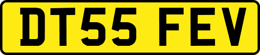 DT55FEV