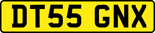 DT55GNX
