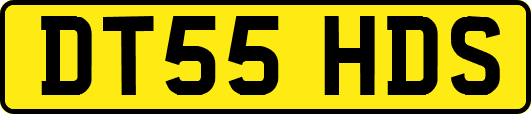 DT55HDS