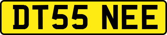 DT55NEE