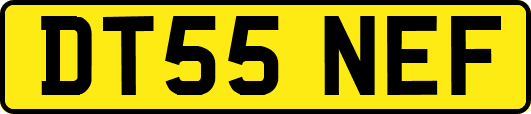 DT55NEF