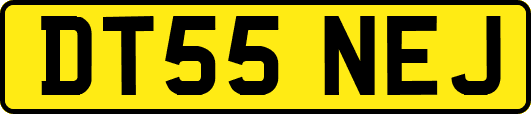 DT55NEJ