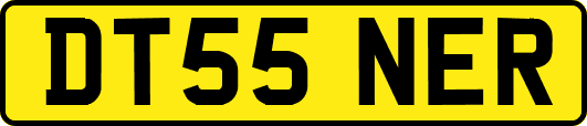 DT55NER