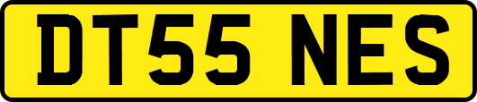 DT55NES