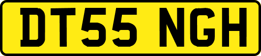 DT55NGH