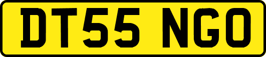 DT55NGO