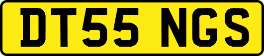 DT55NGS