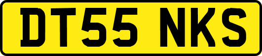 DT55NKS